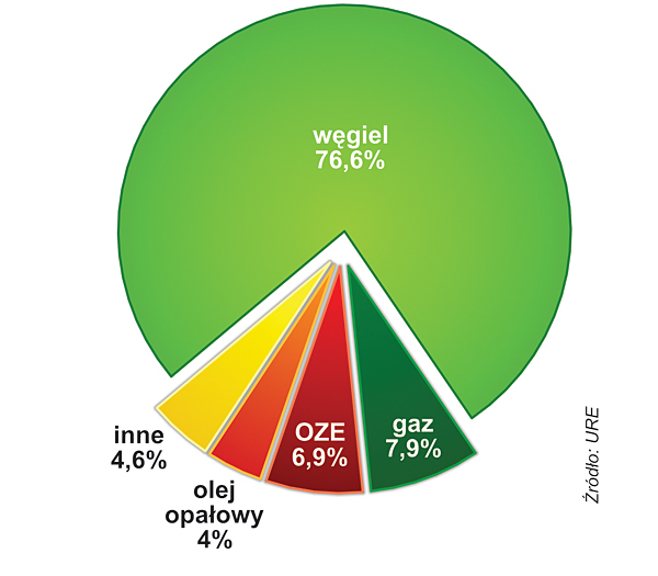 STRUKTURA ZUŻYCIA PALIW DO PRODUKCJI CIEPŁA W 2013 ROKU